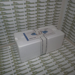 Classic Carlectables 18080 – 1/18 Scale BA XR8 Ute Blueprint