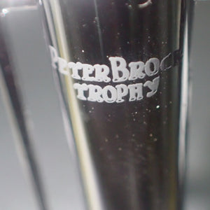 CLASSIC CARLECTABLES 18517 – 1/18 Holden VE Commodore 2012 TeamVodafone Whincup/Dumbrell Bathurst 1000 Winner