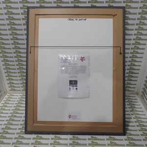 The Autograph Shop 2006TAWP - First win by Aussie in Indy Will Power