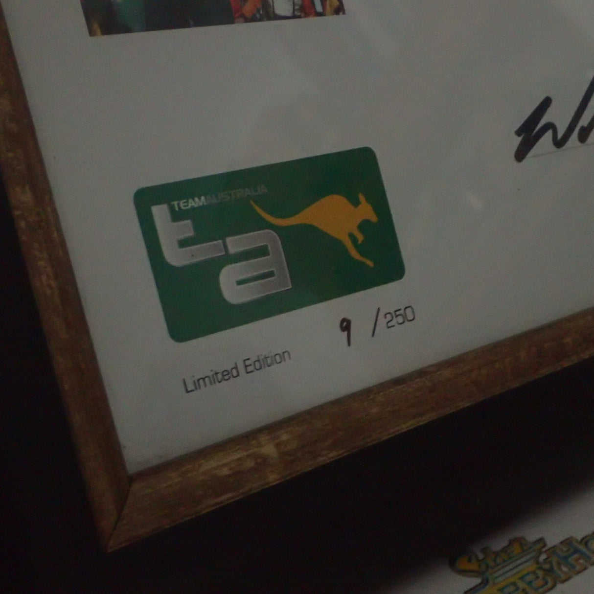 The Autograph Shop 2006TAWP - First win by Aussie in Indy Will Power