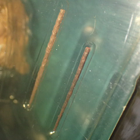 NECA 60015 - Series 1 Harry Potter and the Order of the Phoenix Hermione Granger Figurine