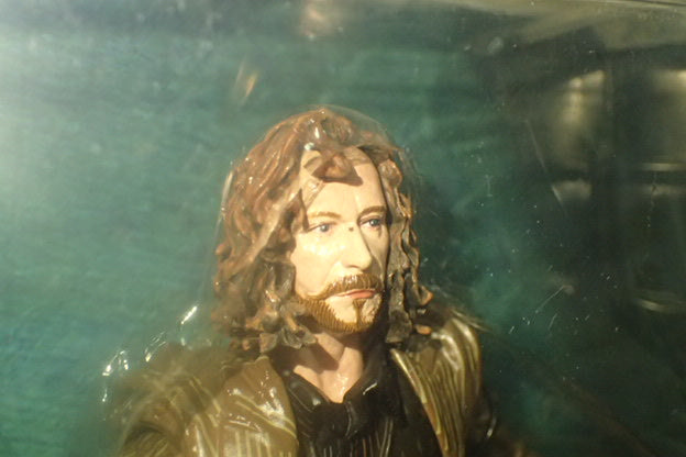 NECA 60030 - Harry Potter Series One SIRIUS BLACK Figurine