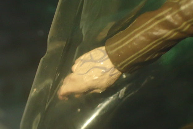 NECA 60030 - Harry Potter Series One SIRIUS BLACK Figurine