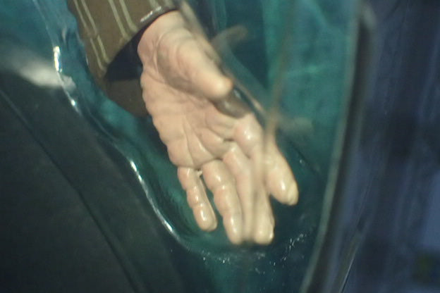 NECA 60030 - Harry Potter Series One SIRIUS BLACK Figurine