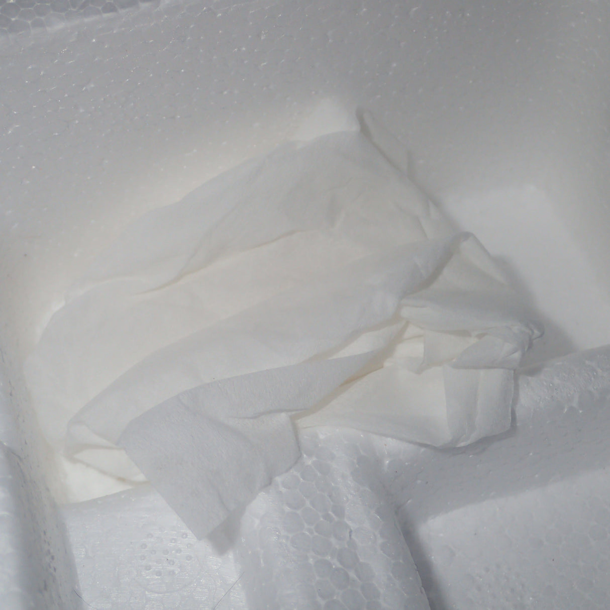 ACME A1805014 - 1/18 Scale 1932 Ford Roadster in Washington Blue Diecast Scale Model Replica