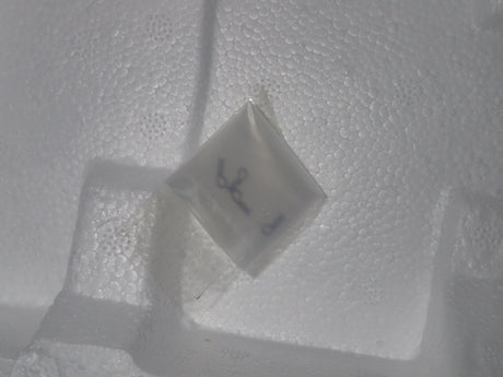 ACME A1806101B - 1/18 Scale Dan Gurney 1970 Trans Am Barracuda Street Version Diecast Model Replica