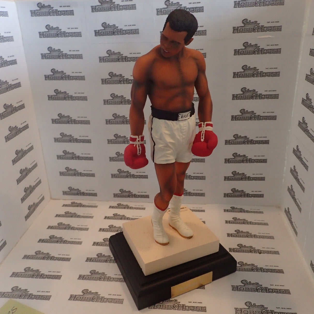 ENDURING IMAGES - ENDBO001 Muhammad Ali