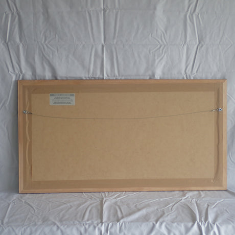 ELITE AUTHENTICS - GEELONG 2007 PREMIERS Personally signed by Captain Tom Harley & Coach Mark Thompson