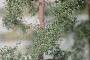 Hornby Scale Scenics Pine Trees 75mm x3