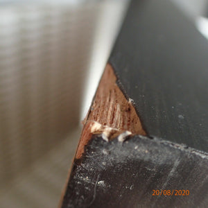 LEGEND MEMORABILIA MEM08 The Perfect Storm Signed 2007 Melbourne Storm Premiers Team Lithograph ex shop display